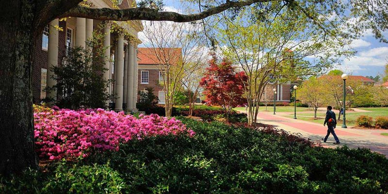 University of Mississippi - University of Mississippi - Study in the USA  University MS